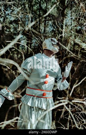 a creepy evil clown, wearing a gray costume with a white ruff, ruffles and red pom-poms, stands in the woods at dusk Stock Photo