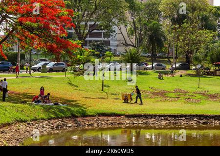Goiânia, Goias, Brazil – October 09, 2022:  Flamboyant Park in the city of Goiânia where there is a tree also called Flamboyant (Delonix regia) Stock Photo