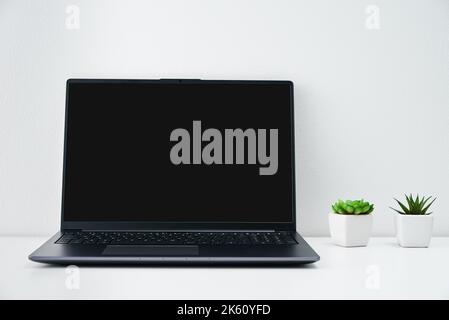 Office or home workplace interior on white background. Comfortable office work space with laptop and plants on table. Stock Photo