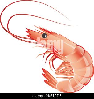 Icon of cooked shrimp in flat style, seafood. Isolated on white background Stock Vector