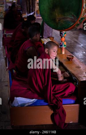 A young monk with a drum at Thikse Monastery (Gompa) during morning puja, Ladakh, India Stock Photo