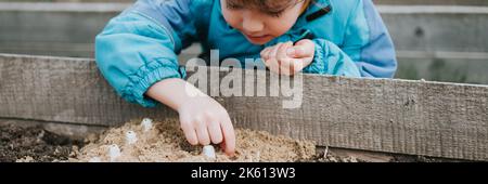 spring planting seeding in farm garden. little six year old kid boy farmer gardener plants and sow vegetable seeds in soil in bed. gardening and begin Stock Photo