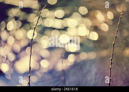 Background with natural rays of light reflection from water Stock Photo