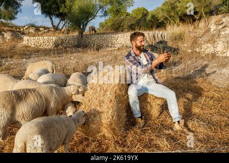 Man in casual clothes taking selfie while sitting on dry grass near enclosure with grazing white sheep on autumn day on farm Stock Photo