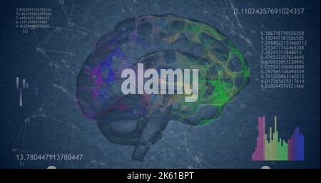 Rotating 360 low polygonal brain 3D model on black background with ...