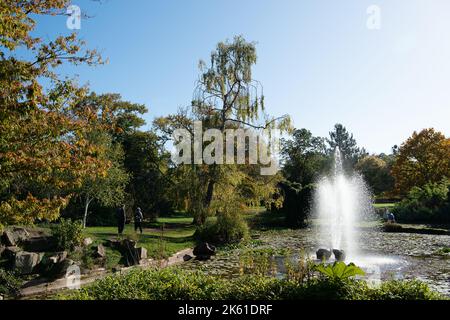 Taplow, Buckinghamshire, UK. 11th October, 2022. The water garden at Cliveden. It was a beautiful sunny day today in the National Trust gardens at Cliveden. Many of the summer plants are still in bloom. Credit: Maureen McLean/Alamy Live News Stock Photo