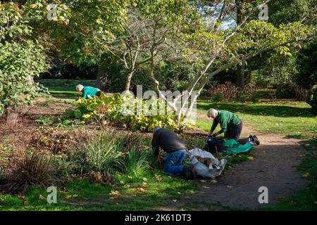 Taplow, Buckinghamshire, UK. 11th October, 2022. The water garden at Cliveden. It was a beautiful sunny day today in the National Trust gardens at Cliveden. Many of the summer plants are still in bloom. Credit: Maureen McLean/Alamy Live News Stock Photo