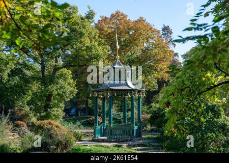 Taplow, Buckinghamshire, UK. 11th October, 2022. The water garden at Cliveden. It was a beautiful sunny day today in the National Trust gardens at Cliveden. Many of the summer plants are still in bloom. Credit: Maureen McLean/Alamy Live News Stock Photo