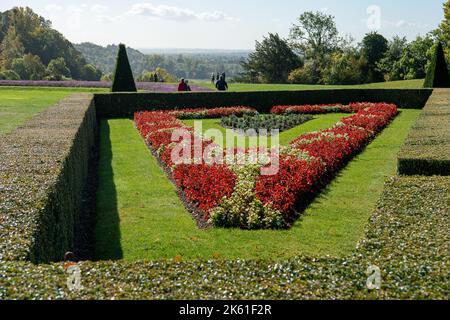 Taplow, Buckinghamshire, UK. 11th October, 2022. The parterre at Cliveden. It was a beautiful sunny day today in the National Trust gardens at Cliveden. Many of the summer plants are still in bloom. Credit: Maureen McLean/Alamy Live News Stock Photo