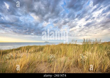 Les dunes de Blériot-Plage, France, Côte d'Opale Stock Photo