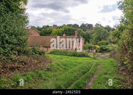 The countryside at Abinger Roughs in the Surrey Hills on an autumn day near Dorking, England UK Stock Photo