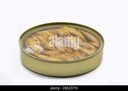 Can of smoked sprats in oil closeup on white, Stock Photo