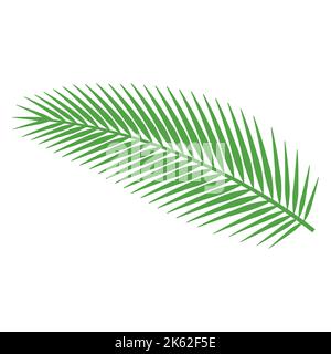 cute of palm leaf on cartoon version,vector illustration Stock Vector