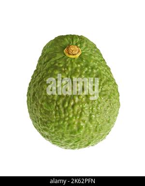 Fresh Ripe Avocado Whole Fruits Isolated on white background Stock Photo