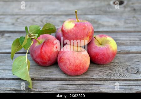 Freshly picked ripe apples on an old wooden table. Concept of growing your own organic food. Stock Photo