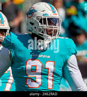 Miami Dolphins defensive end Emmanuel Ogbah (91) gets set on defense  against the Detroit Lions during an NFL football game, Sunday, Oct. 30,  2022, in Detroit. (AP Photo/Rick Osentoski Stock Photo - Alamy