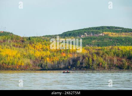 Gunflint Lake, U.S.-Canada border, Minnesota/Ontario, paddlers canoeing on the lake, yellow leaves changing in the fall Stock Photo
