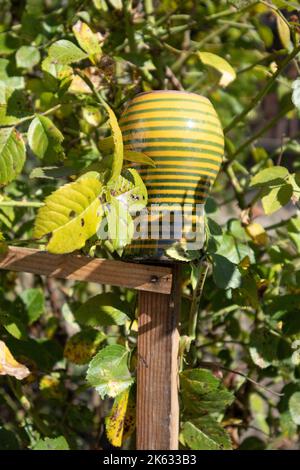 Old clay pot isolated on wooden stick on blurred brick background front view Stock Photo