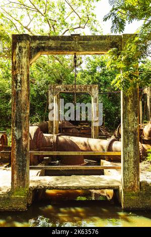 Old rusty machine with beautiful greens and trees, quarry heatherlie in the Natural reserve from puerto rico humacao. Peacefull and lovely place Stock Photo