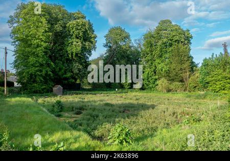 Watercress farm in the picturesque village Warnford which lies in the upper valley of the River Meon in Hampshire, England, UK Stock Photo