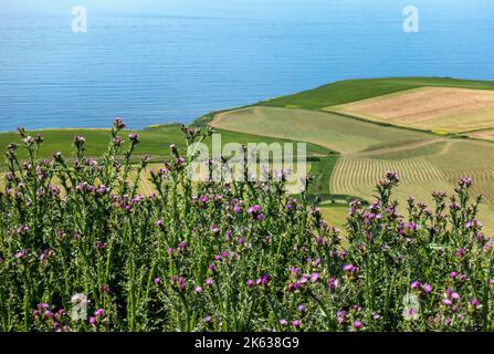 View from Swyre Head the highest point of the Isle of Purbeck in Dorset, England, UK Stock Photo