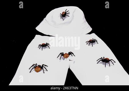 Tiny Fake Spiders On White Hat And Pants Stock Photo