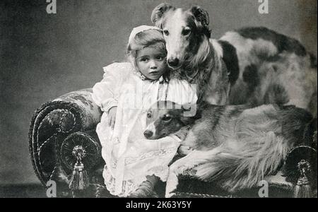A young German girl posing for a photograph on a velvet divan couch with two family pets, a pair of beautiful Borzoi dogs. circa 1900s Stock Photo
