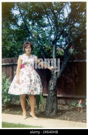 A pretty young laydy in a wide-skirted summer frock standing up against a small tree in an extremely well-kept suburban garden, with gnomes occupying the flowerbed. Stock Photo