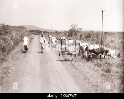 1940s East Africa - Uganda - rural transport and scenery, bicycle Photograph by a British army recruitment officer stationed in East Africa and the Middle East during World War II Stock Photo