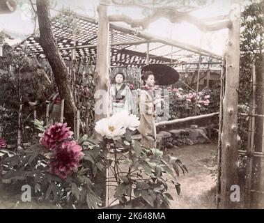c. 1880s Japan - young women in a flower garden Stock Photo