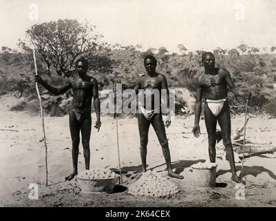 Early 20th century vintage press photograph - Aboriginal men collecting turtles eggs on a beach in NW Australia, c.1920s Stock Photo