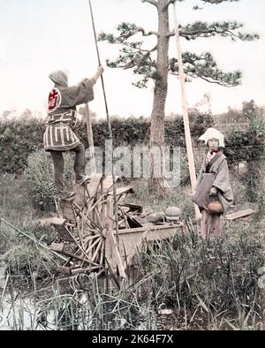 c. 1880s Japan - irrigation by water wheel treadmill Stock Photo