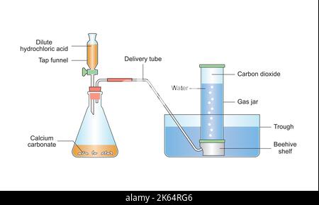 Diagram of the laboratory preparation of carbon dioxide from ...