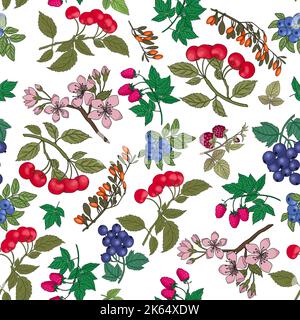 Hand drawn berry branches seamless pattern. Colorful background with fresh strawberries, blueberries, cherries. Fruit print. Natural juicy plants Stock Photo
