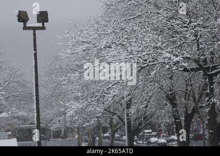 accumulation of snow on branches of a tree Stock Photo