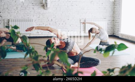 Flexible attractive young women are doing seated side bends from easy lotus position. Complex of stretching asanas diring group yoga practice concept. Studio is light and spacious. Stock Photo