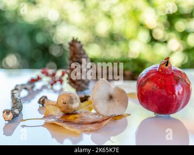 Composition of white mushrooms and red pomegranate with pine cone and autumn leaves on green bokeh background Stock Photo