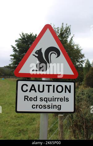 Caution red squirrels crossing road sign with silhouette of a squirrel Stock Photo