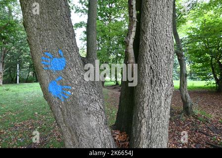 Blue handprint sign painted on the tree in the forest. Stock Photo
