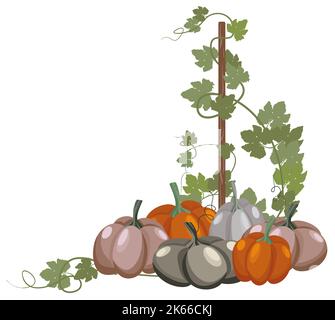 Cute hand drawn pumpkins - great as Thanksgiving background, textiles, banners, wallpapers, wrapping - vector design Stock Vector