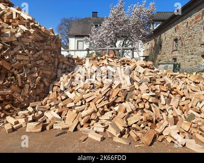 piled up beech firewood in front of a farm, Germany Stock Photo