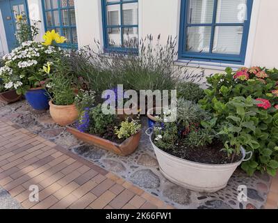 Many different flower tubs in front of a house in an old town, Germany Stock Photo