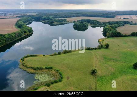 Lake Behlendorf, Forest Behlendorf in the Lauenburg Lakes Nature Park