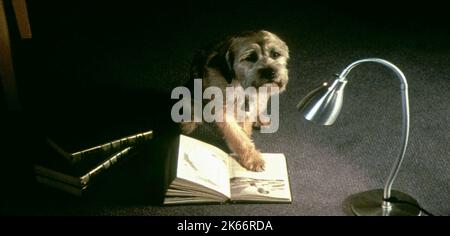 HUBBLE, GOOD BOY!, 2003 Stock Photo