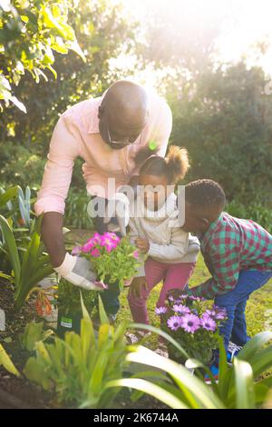 Happy african american father and daughter spending time together outside and planting Stock Photo