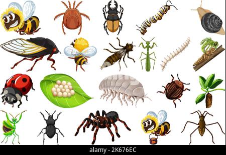 Different kinds of insects collection illustration Stock Vector Image