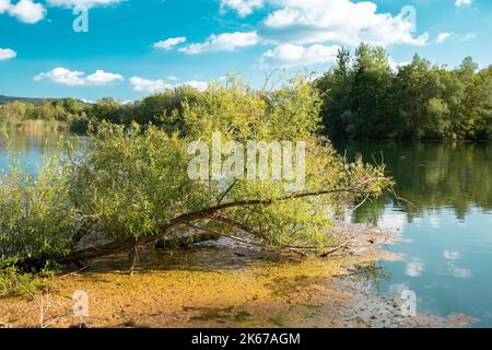 Biodiversity Haff Reimech, wetland and nature reserve in Luxembourg ...