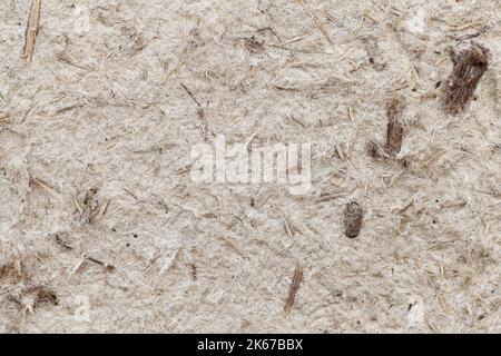 Abstract background photo of an old wall insulation board made of pressed sawdust and recycled cardboard, close up front view Stock Photo