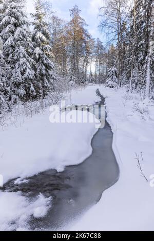 Frozen water puddle in a snowy forest in winter Stock Photo