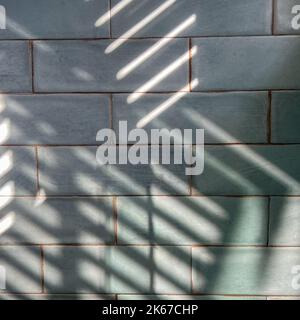 A tile wall in a bathroom with shadows which can be used as a background. Stock Photo